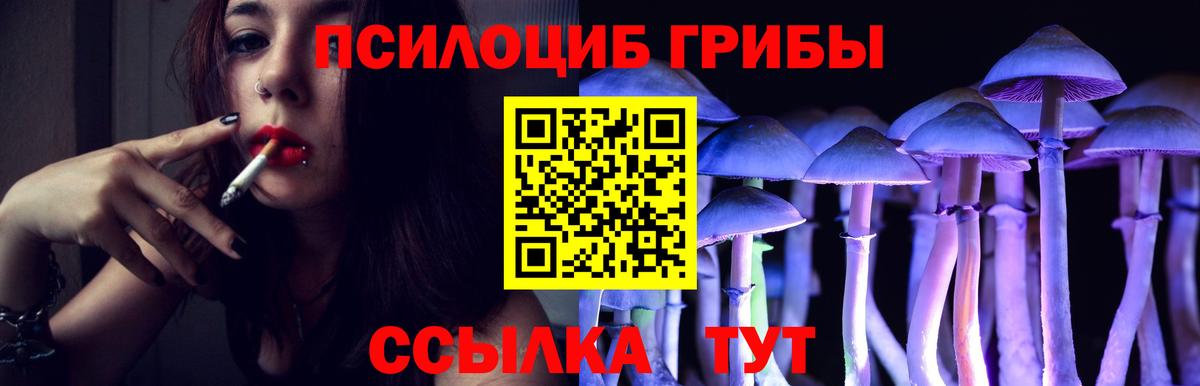 Галлюциногенные грибы Psilocybine cubensis  Вход с VPN  Галлюциногенные грибы Magic Shrooms  Углич 